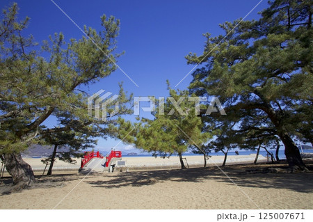 津田の松原 津田の松原 125007671
