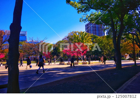 満開の桜を見ながら朝の通勤 125007812