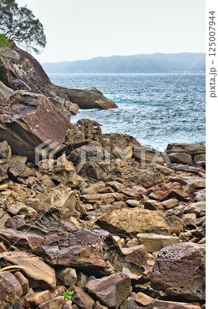 見残し海岸 125007944