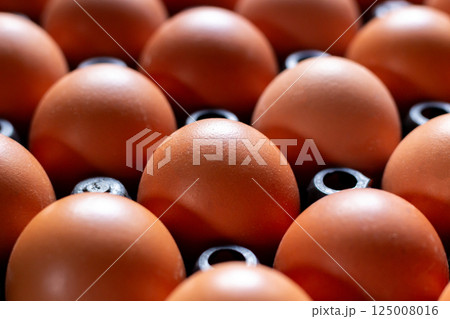 Close up chicken eggs in plastic tray Close up chicken eggs in plastic tray 125008016