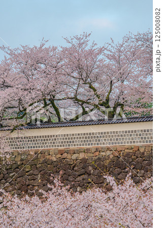 堅牢な石垣と咲き誇る桜 - 金沢城の春 125008082