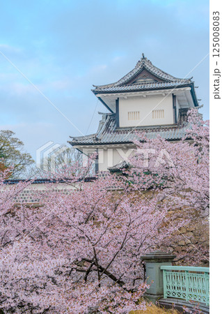 古都の春 - 金沢城を染める桜色 125008083