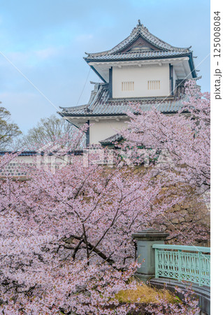 古都の春 - 金沢城を染める桜色 125008084