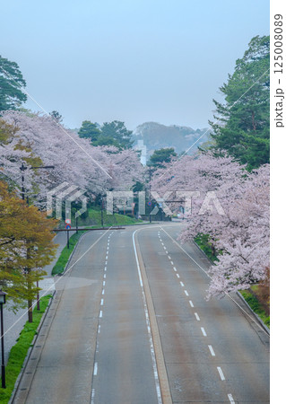 春爛漫の桜並木道 - 金沢の美しい風景 125008089
