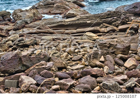 見残し海岸 見残し海岸 125008107