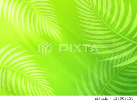 ヤシのシルエット背景 ヤシのシルエット背景 125008159