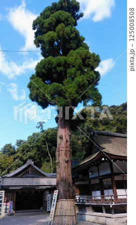 青空に映える神社 青空に映える神社 125008508