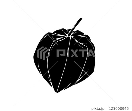 ホオズキのシルエットイラスト(白フチあり) ホオズキのシルエットイラスト(白フチあり) 125008946