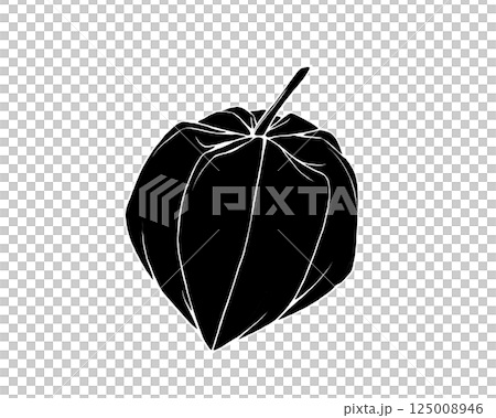 ホオズキのシルエットイラスト(白フチあり) ホオズキのシルエットイラスト(白フチあり) 125008946