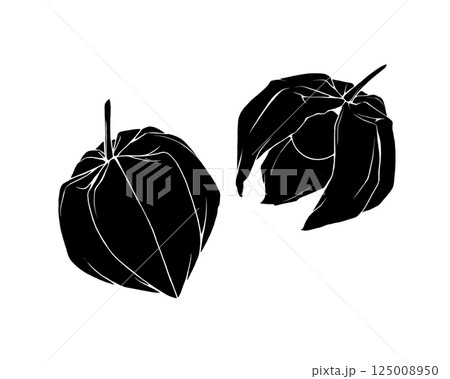 ホオズキのシルエットイラストセット（白フチあり） 125008950