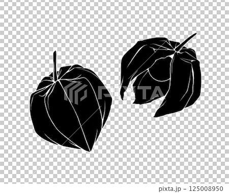 ホオズキのシルエットイラストセット（白フチあり） 125008950