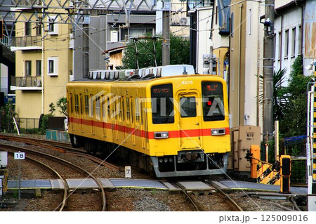 車齢50年!!下町を行く… 亀戸線を快走するベテラン通勤車『8000系』 車齢50年!!下町を行く… 亀戸線を快走するベテラン通勤車『8000系』 125009016