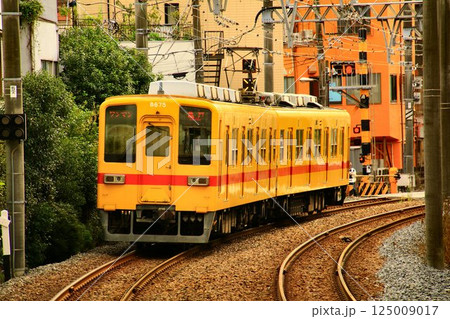 車齢50年!!下町を行く… 亀戸線を快走するベテラン通勤車『8000系』 125009017