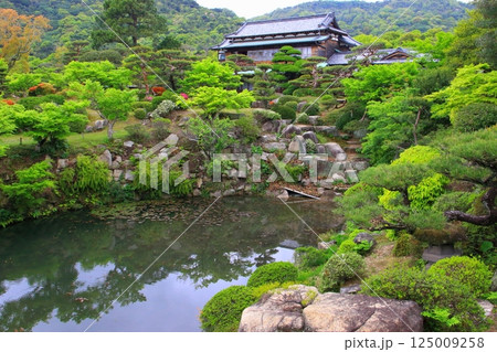 新緑の毛利氏庭園と本邸(防府市) 新緑の毛利氏庭園と本邸(防府市) 125009258