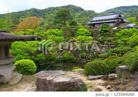 新緑の毛利氏庭園と本邸（防府市） 125009260