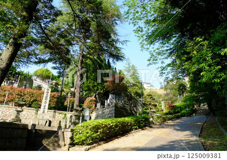 長迫公園(旧海軍墓地) 125009381