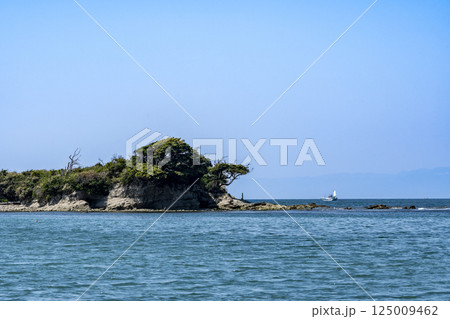 神奈川県葉山町の海岸風景 神奈川県葉山町の海岸風景 125009462