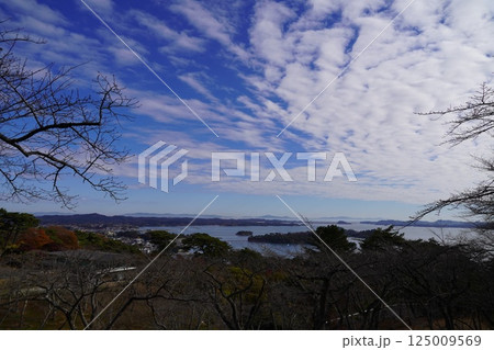 松島の情景 松島の情景 125009569