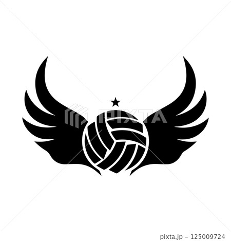 volleyball ball icon vectors illustration 125009724