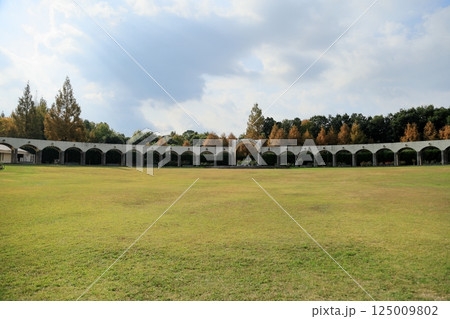 深まる秋の公園 深まる秋の公園 125009802