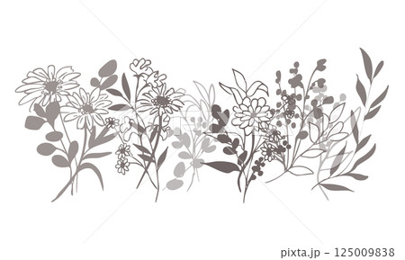 草木の線画。草木と花のベクターイラスト。草木の飾りフレーム。 125009838