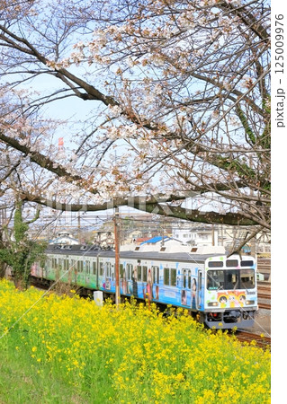秩父鉄道「菜の花と開花したての桜堤を走るラッピング電車」 125009976