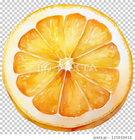 Cross section of a lemon cut in half, watercolor illustration (JPEG/PNG) 125010418