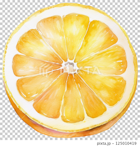 Cross section of a lemon cut in half, watercolor illustration (JPEG/PNG) 125010419