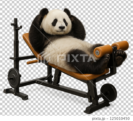 Panda working out his abdominal muscles 125010450