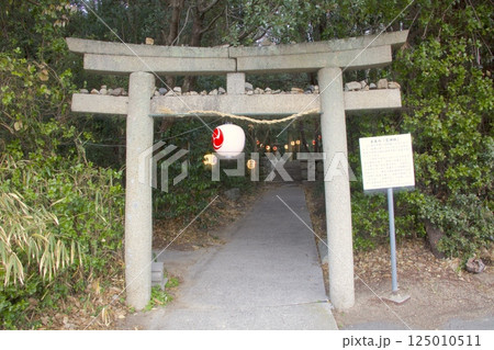 小豆島オリーブ公園・水木の「荒神社」 125010511