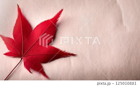 真っ赤なもみじ、紅葉、秋をイメージした背景素材 真っ赤なもみじ、紅葉、秋をイメージした背景素材 125010881