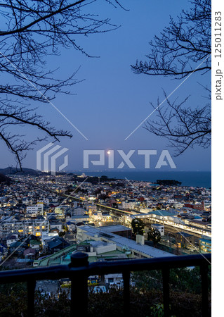 《吾妻山公園》吾妻山公園から見る夜景（神奈川県二宮町） 125011283