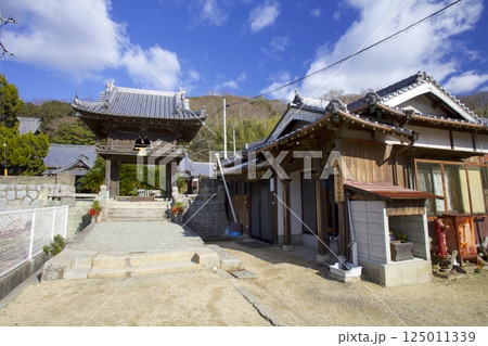 小豆島・誓願寺のソテツ/樹齢1000年以上/国指定天然記念物 125011339