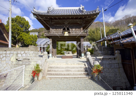 小豆島・誓願寺のソテツ/樹齢1000年以上/国指定天然記念物 125011340