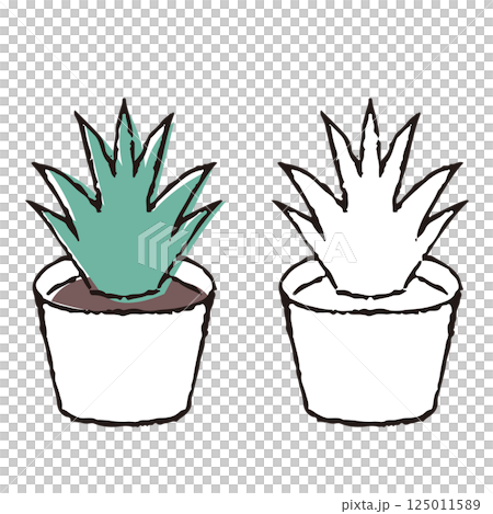 鋼筆畫花盆 125011589