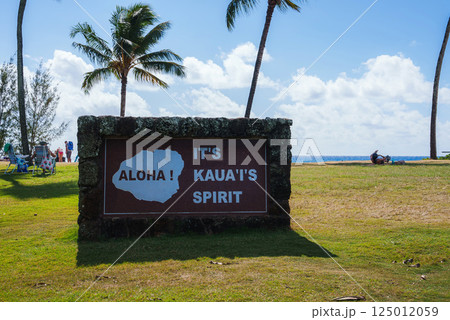 A sign reading 'Aloha It's Kauai's Spirit' stands in a grassy area with palm trees, ocean in the distance, and people relaxing under a blue sky. 125012059