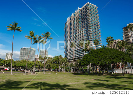 A green park with tall palm trees in the foreground, modern high rise buildings in the background, and a clear blue sky in Honolulu, Hawaii. A green park with tall palm trees in the foreground, modern high rise buildings in the background, and a clear blue sky in Honolulu, Hawaii. 125012113