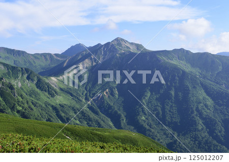 岐阜県北アルプス双六岳登山道から望む鷲羽岳 125012207