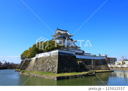岸和田城 125012557