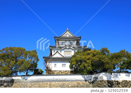 岸和田城 125012559