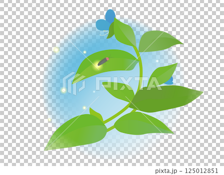 ホタルとツユクサのイラスト 125012851