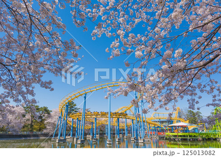 満開の桜と華蔵寺公園の遊園地 満開の桜と華蔵寺公園の遊園地 125013082
