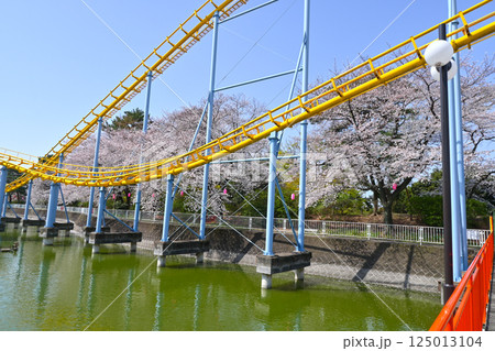 満開の桜と華蔵寺公園の遊園地 125013104