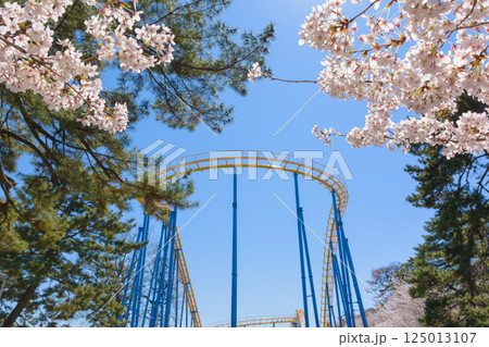 満開の桜と華蔵寺公園の遊園地 125013107