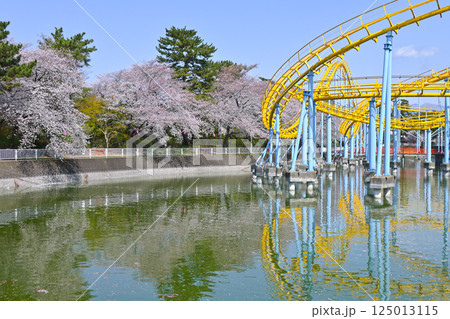 満開の桜と華蔵寺公園の遊園地 125013115
