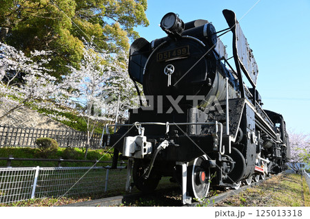 D51形499号機 津偕楽公園 三重県津市 125013318