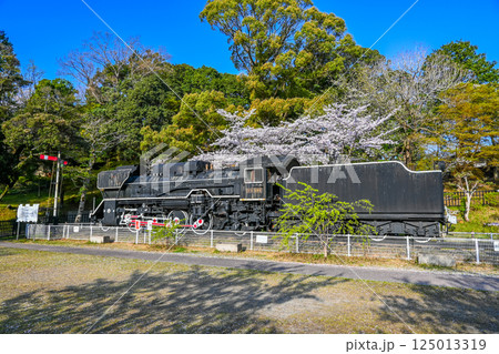 D51形499号機 津偕楽公園 三重県津市 125013319