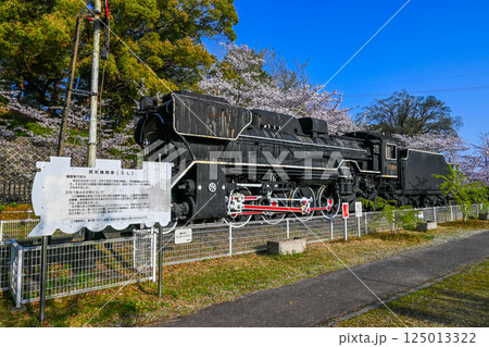 D51形499号機 津偕楽公園 三重県津市 125013322