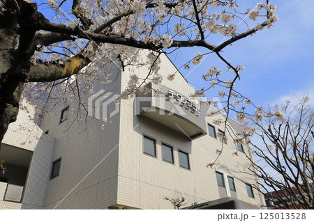 葛飾区地域産業振興会館(テクノプラザかつしか) 葛飾区地域産業振興会館(テクノプラザかつしか) 125013528