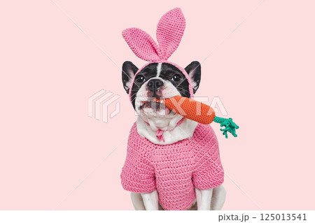 Cute puppy, felt carrot and knitted bunny ears 125013541